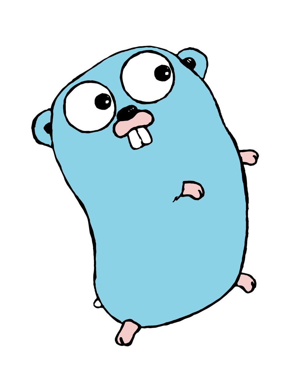 V900Vishal's tweet image. 🚀 Starting a new journey — learning Golang 🐹
Goal: Master it by the end of 2025 💪
Excited to explore its power in backend systems, concurrency & performance.
Let’s see where this path takes me! 🌱
#Golang #100DaysOfCode #DevJourney
