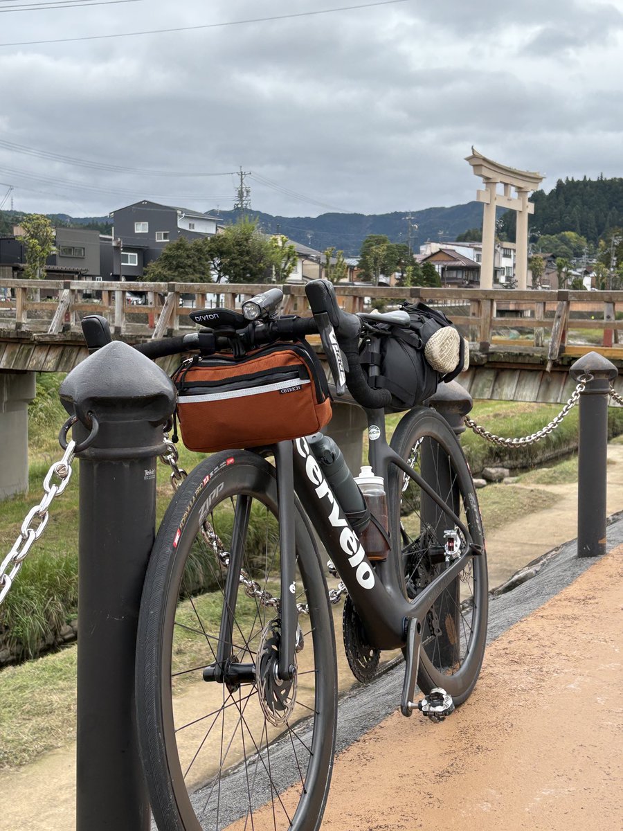 オーダーで製作させて頂きました　デモ用超豪華オーストリッチアクセサリー オーダーで製作させて頂きました デモ用超豪華オーストリッチ