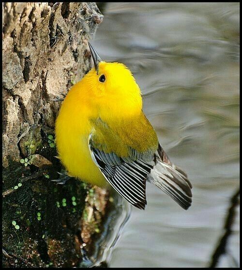 Worldwild05 (@worldwild05) on Twitter photo 