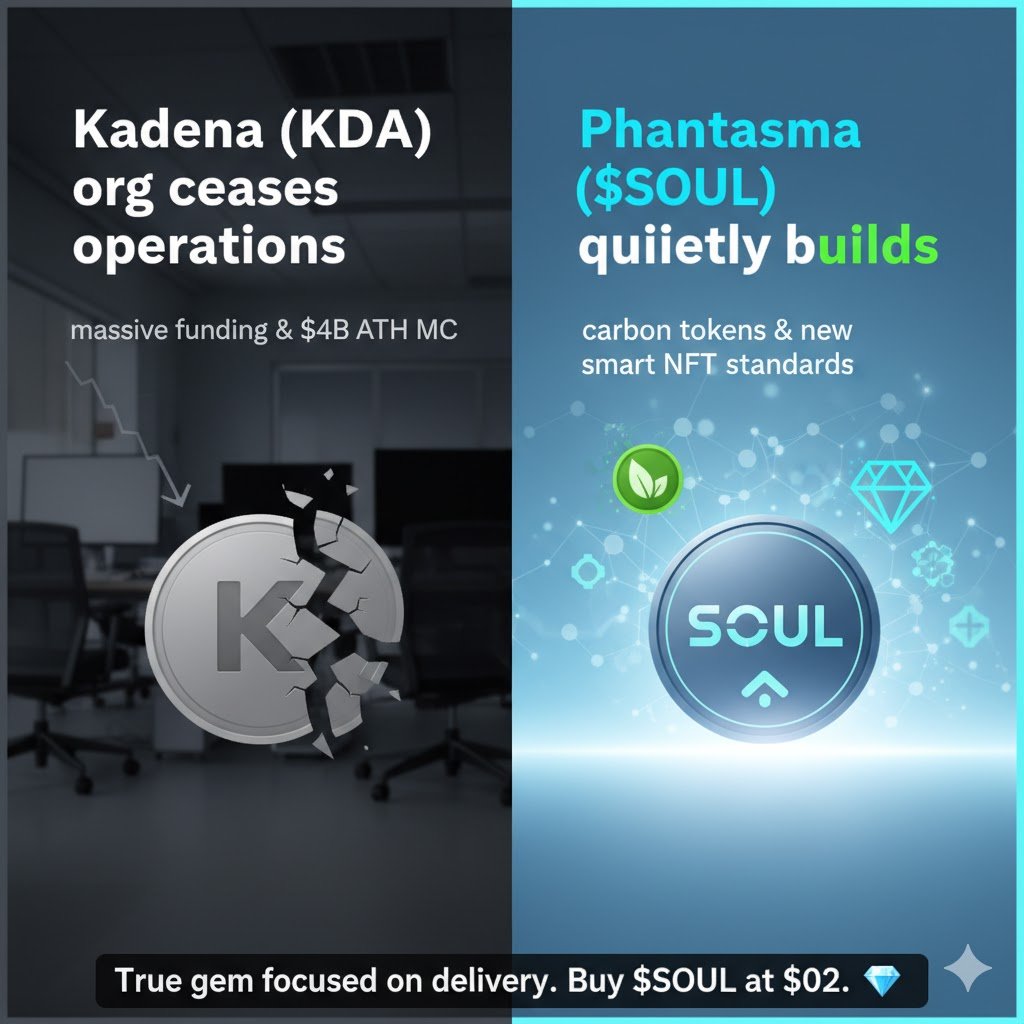 volkan kurt tweet media