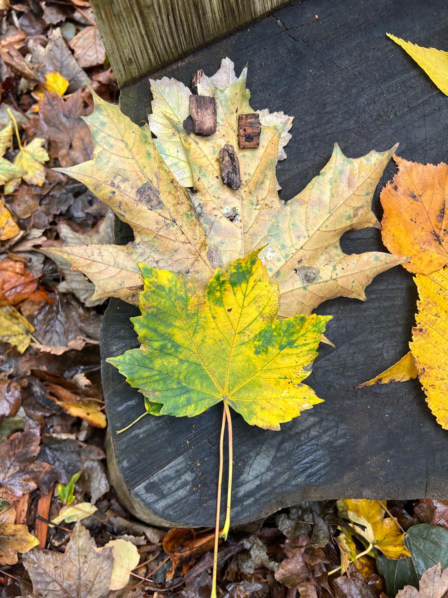 Outdoor learning in Year 4 inspired by the story Leaf Man. Children created their own leaf man and recreated scenes from one of the places Leaf Man visited.