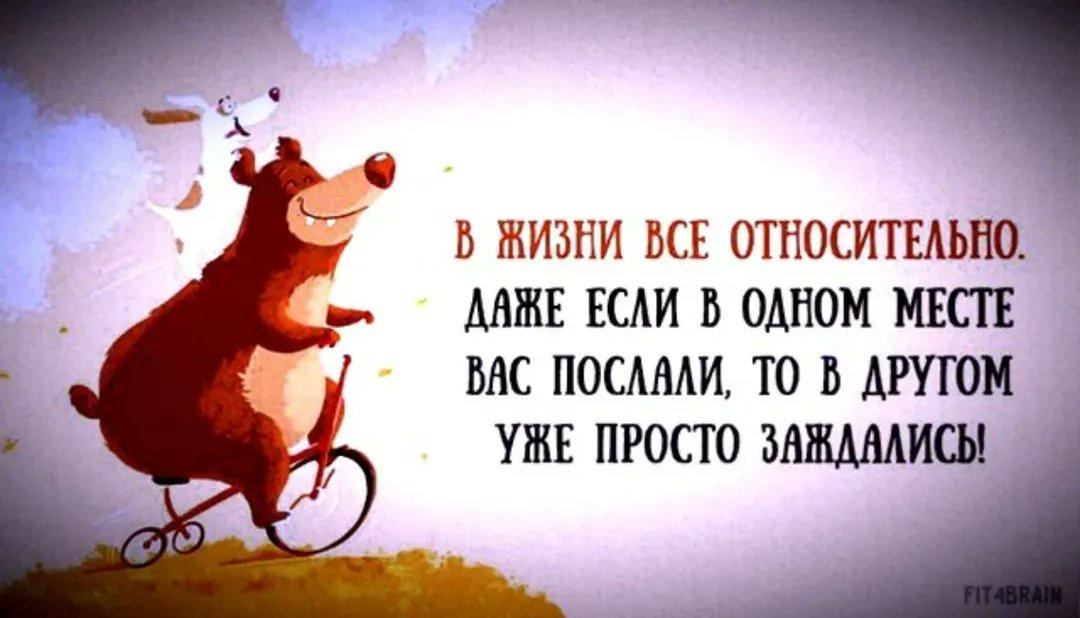 Когда жизнь заставляет тебя быть медведем на велике, главное — делать вид, что всё шло по плану. А собака — это, походу, мой дедлайн. Кто тоже несётся вперед, не понимая, куда летит? 🚲🐶