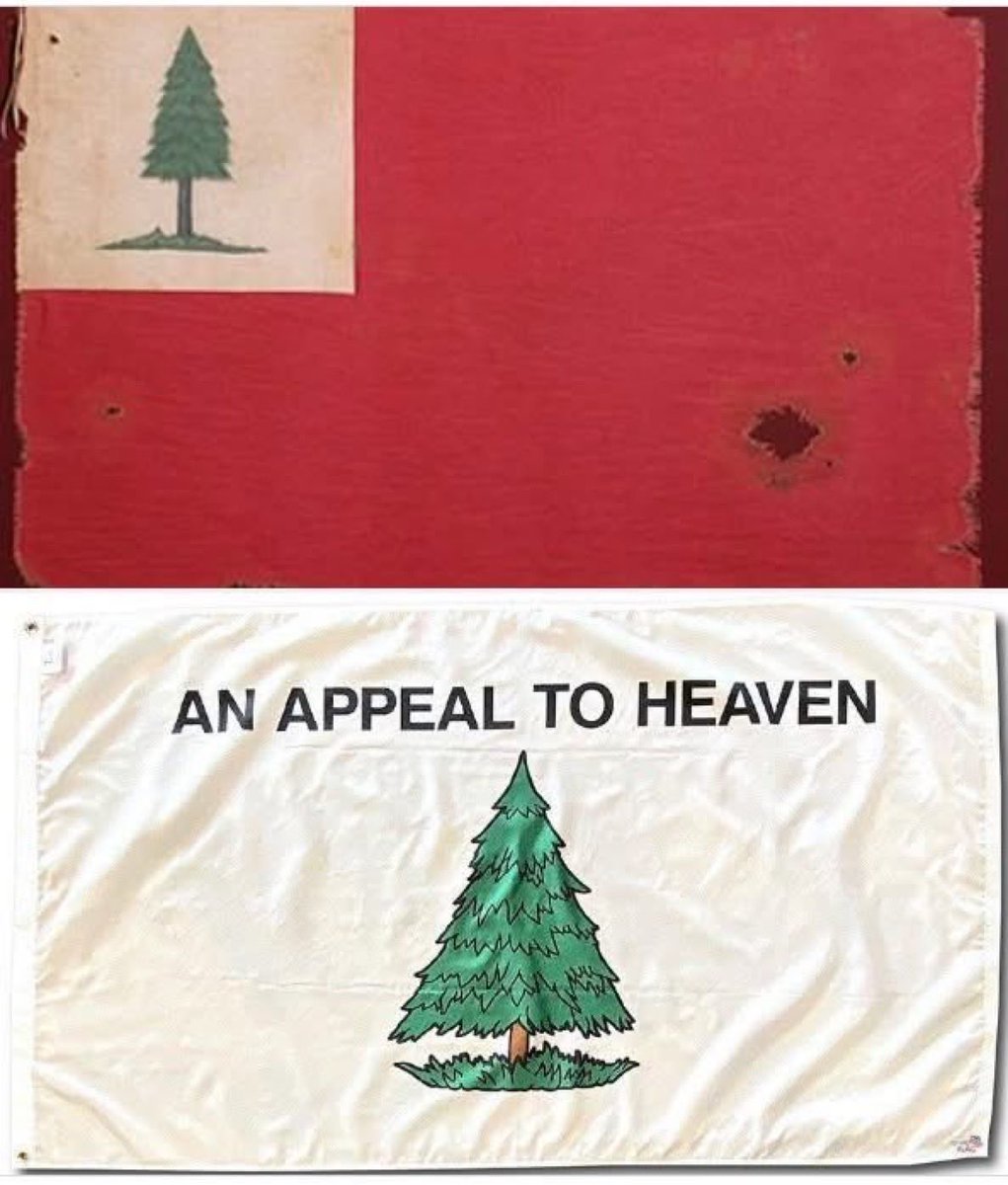 Todd Wisner, JD 💼⚖️📜✝️ tweet media