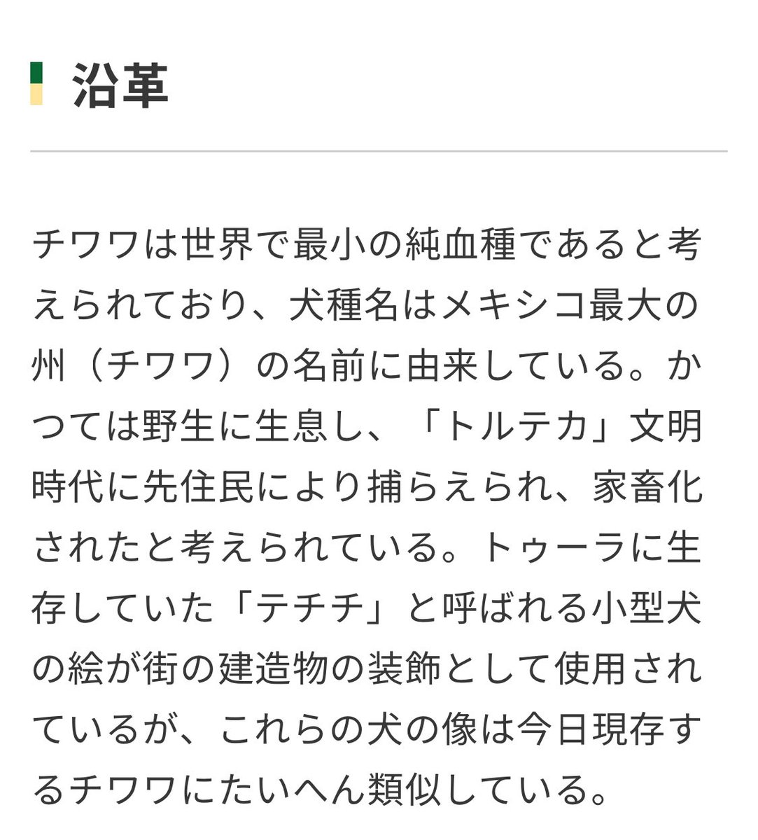 チワワ、絶対にこの小ささは近代で何かと何かの掛け合わせで生み出された犬じゃない…？って見た目して
もうトルテカ文明ぐらいの頃には家畜化されてた純血種なの
犬の歴史ってわっかんねぇなぁ！ってなる（当たり前だけどハムスターが野生の生き物だったぐらいビビる）