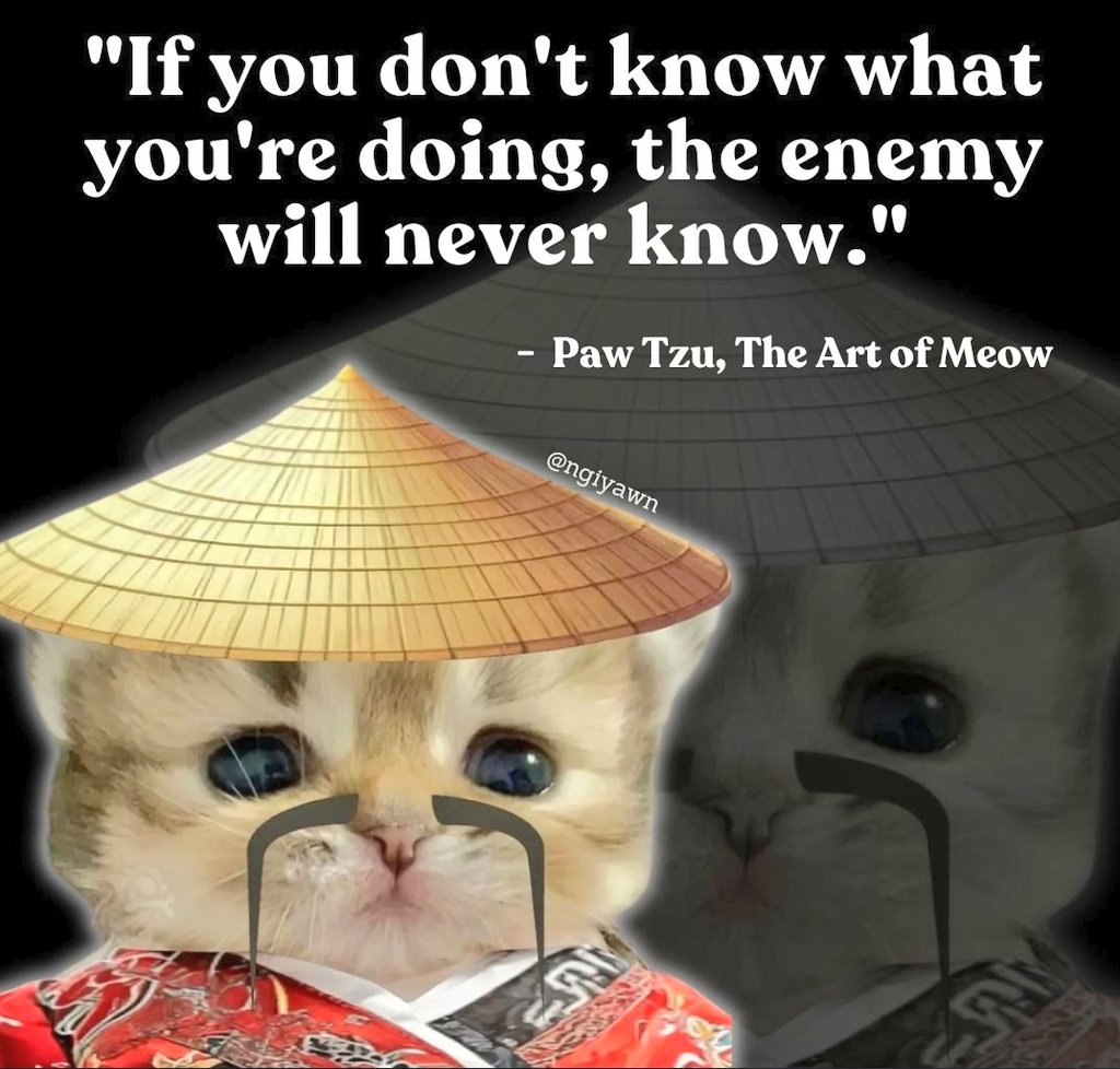 karmicoder's tweet image. 😼