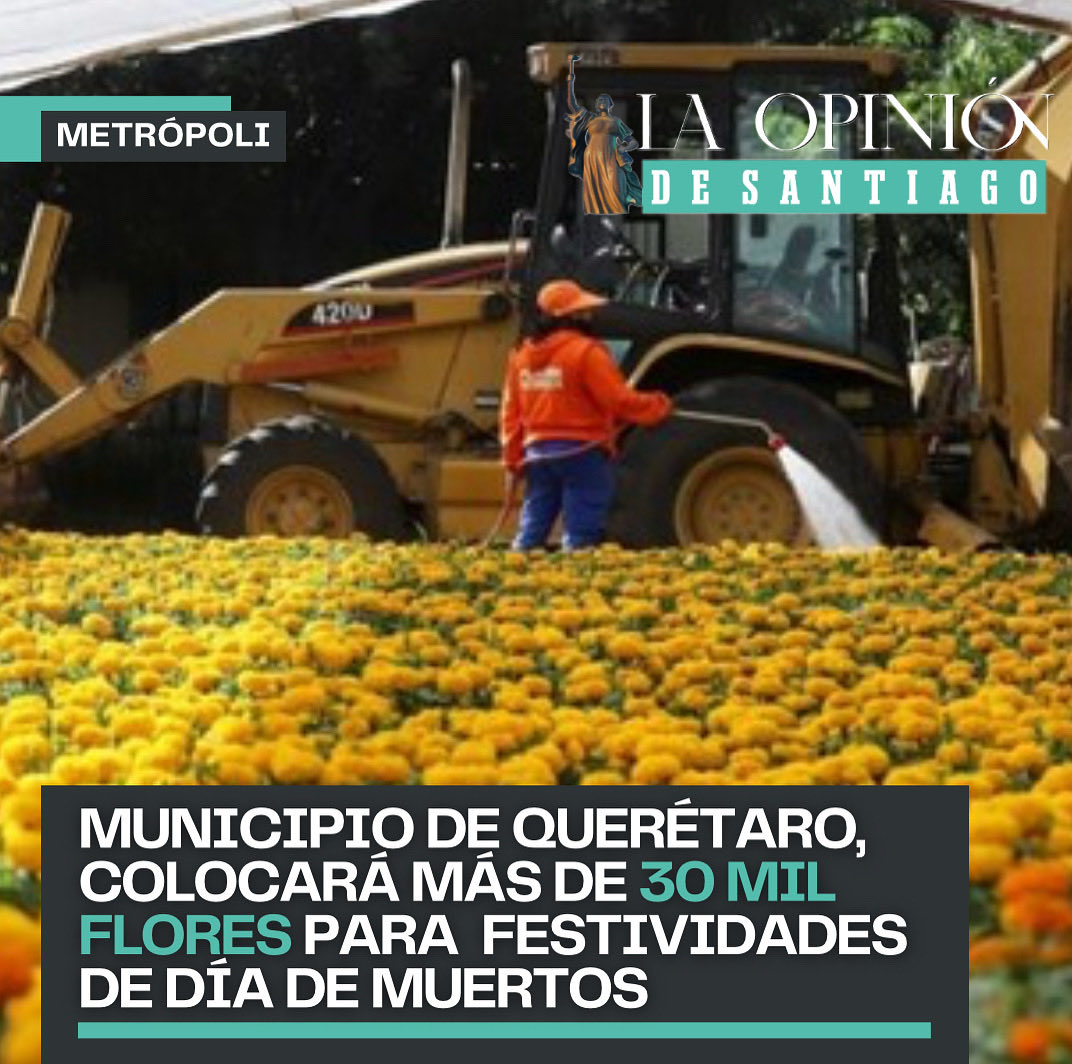 🎃 💀#DiaDeMuertos #QRO🌼 ⁠El municipio de 📍Querétaro se alista para vivir una de las celebraciones más importantes para los mexicanos: el Día de Muertos 🎃 💀

🔗 laopiniondesantiago.com/municipio-de-q…