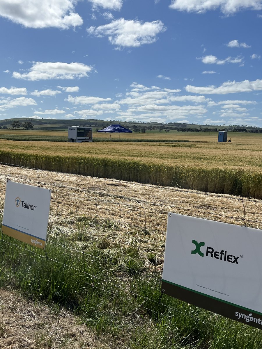 Crop Smart agronomists and sales staff recently visited @syngentaus Strathalbyn Learning Site to stay up to date with the latest products and pipeline developments. The visit offered a valuable opportunity to experience the forefront of product innovation, observe practical