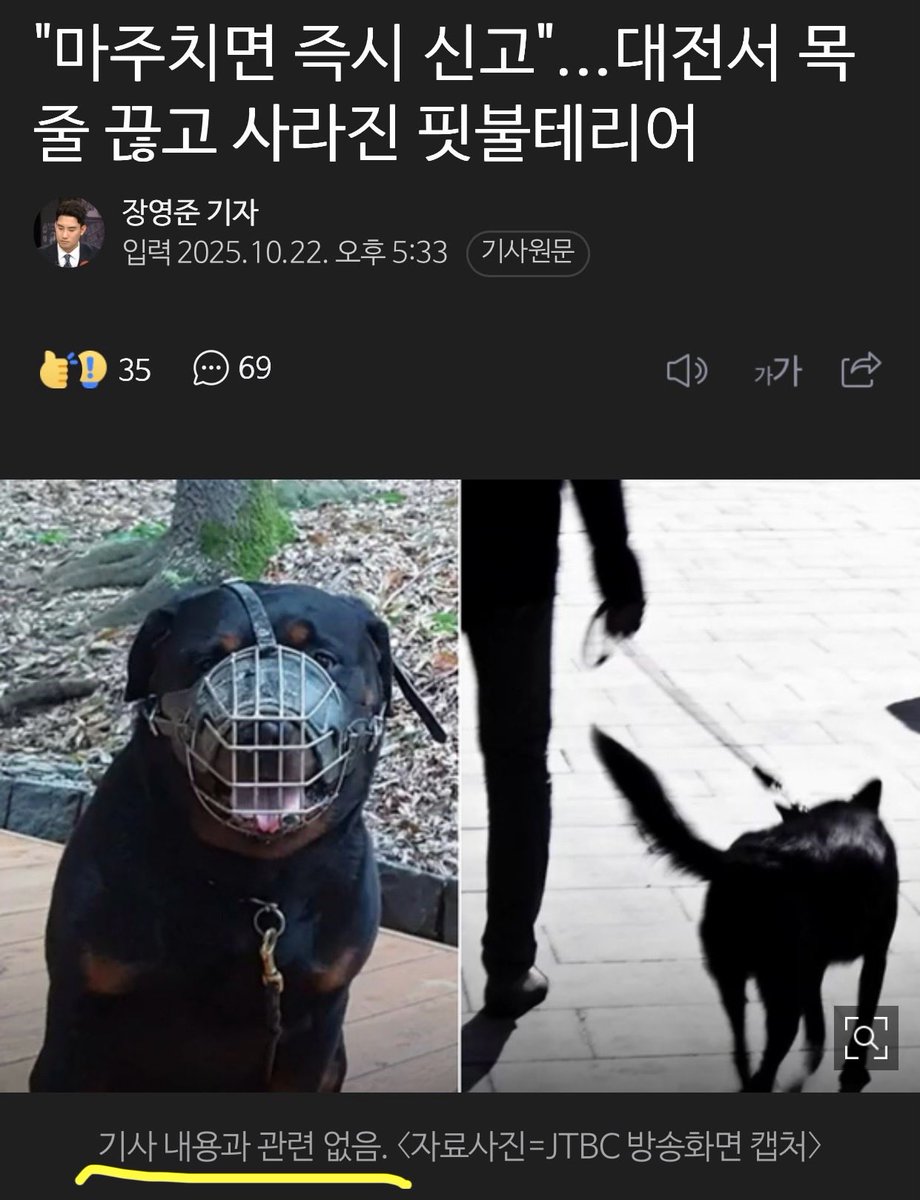 대전 핏불테리어 속보 화면