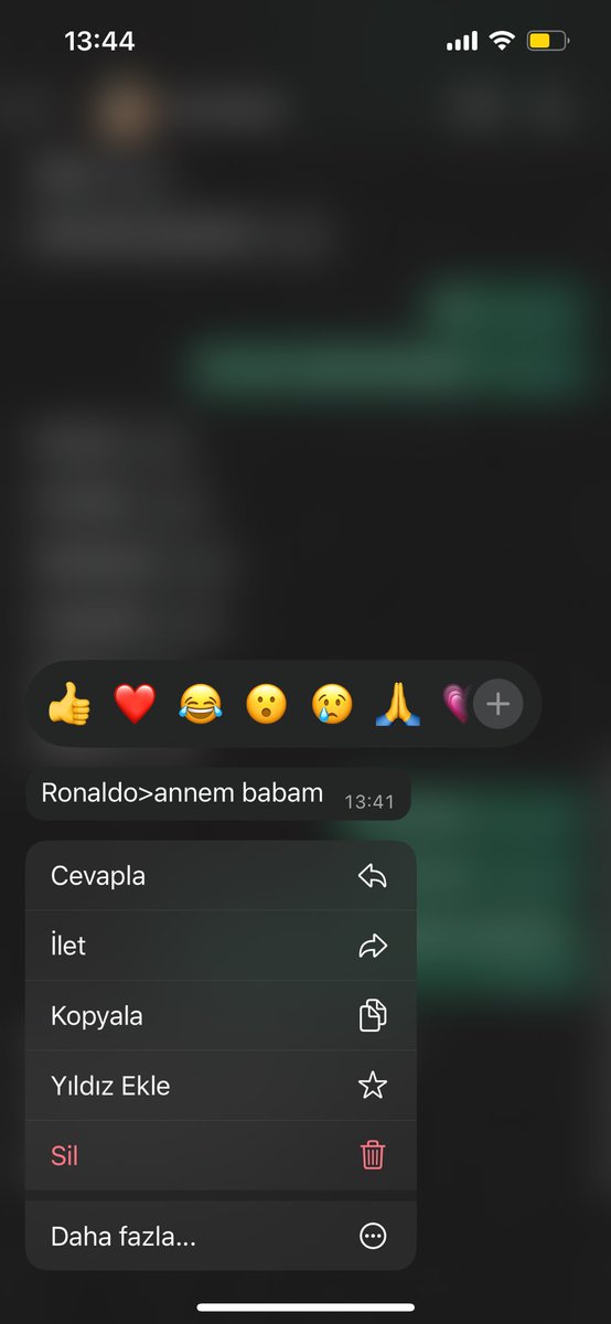 2 gün önce anne babasının doğum gününü bana sordu (burs başvurusu için) 
Şimdi bana Ronaldonun doğum gününü söylüyor
Ne diyebilirim ki🤓