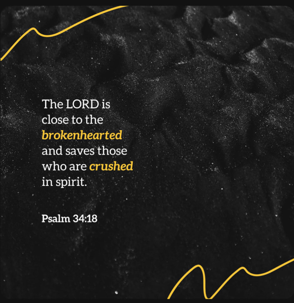 Lukas Haworth tweet media