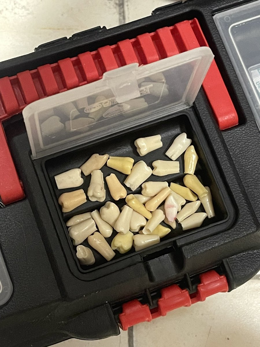 s_sh_2783's tweet image. مهر.