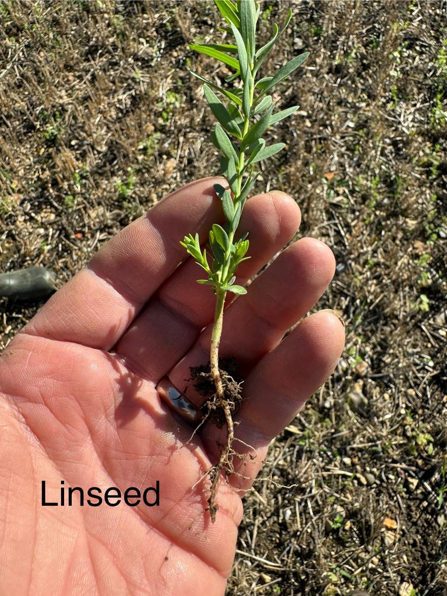 Englefield Estate tweet media