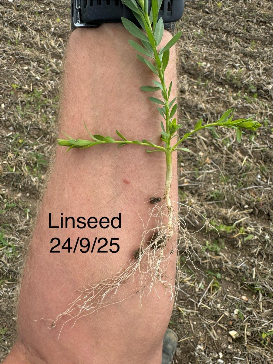 Englefield Estate tweet media