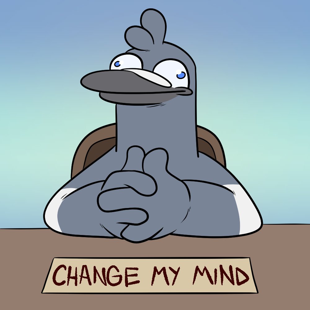 Pigeons are the best birds