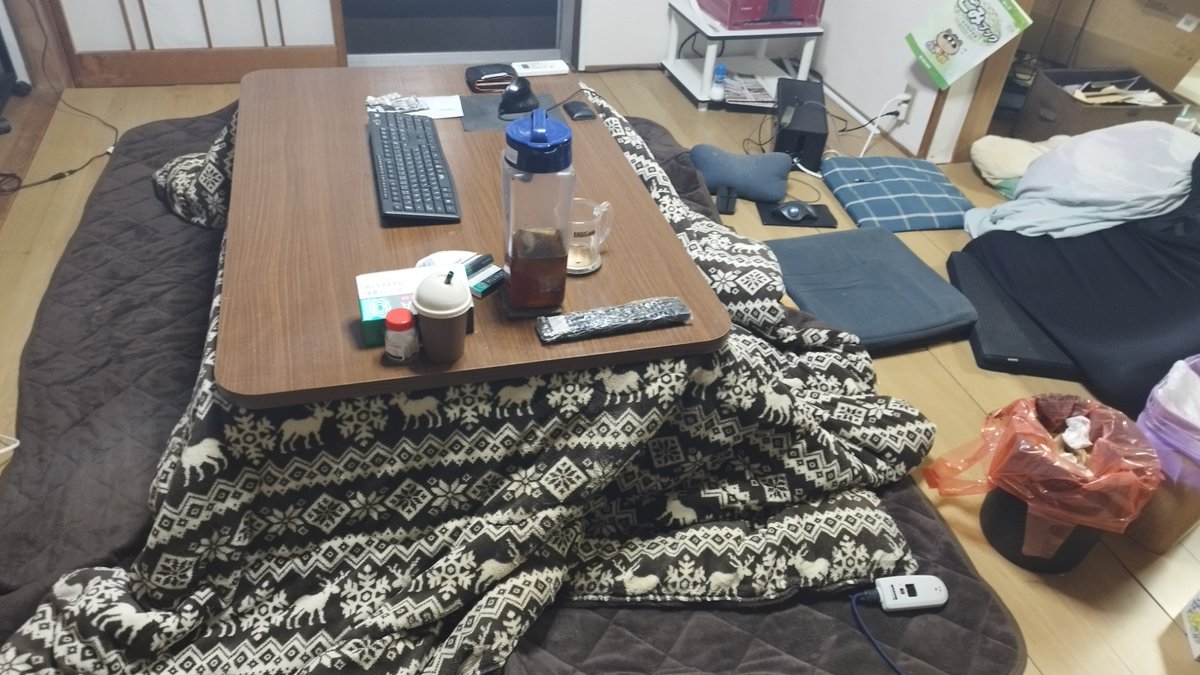 急激に寒くなったのでコタツ出しました。
新しい家に引っ越してから初めての冬を迎えます。

・・・あれおかしいな。
昨日まで半袖で扇風機効かせていたのにもうこんな時期ですか。