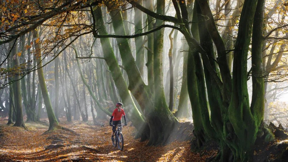 Autumn’s here, but you don’t need a big budget to keep pedalling!
Check out the @wearecyclinguk guide to affordable autumn essentials from mudguards and lights to warm layers all for under £100! cyclinguk.org/autumn-on-a-bu…
#CycleAshford #AutumnCycling