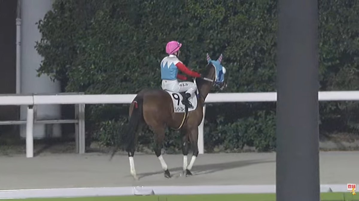 🇫🇷 Mickaëlle Michel🇯🇵<a href="/MickaelleMichel/">Mickaëlle Michel - ミカエルミシェル</a> and Crazy Fruits クレイジーフルーツ Wednesday at Tokyo City Keiba‼️🏇☔️
#NeverGiveUp #WorkHard #MickaelleMichel
M.ミシェル #ミカエルミシェル
💪👊🌪️🥰
<a href="/FredericSpanu/">Frederic Spanu Racing</a> <a href="/noriri4/">noriri🐾</a> <a href="/ma_ouma1/">Masakazu Takahashi</a> <a href="/sebgoursaud/">sebgoursaud</a> <a href="/KFrnch/">Kimberly French</a> <a href="/shimaneso/">しまねそ</a> <a href="/Jarjayes117/">ジャルジェ</a> <a href="/zonahipica/">Zona Hípica Noticias</a>