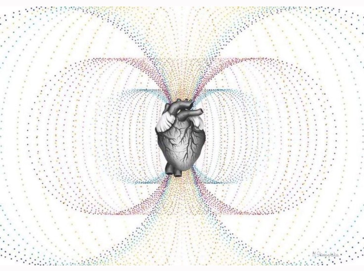 TheProjectUnity's tweet image. The Human Heart.
An Electromagnetic Vortex Generator.
We haven't even begun to REMEMBER its energetic potential, Humans are biological technologies.
