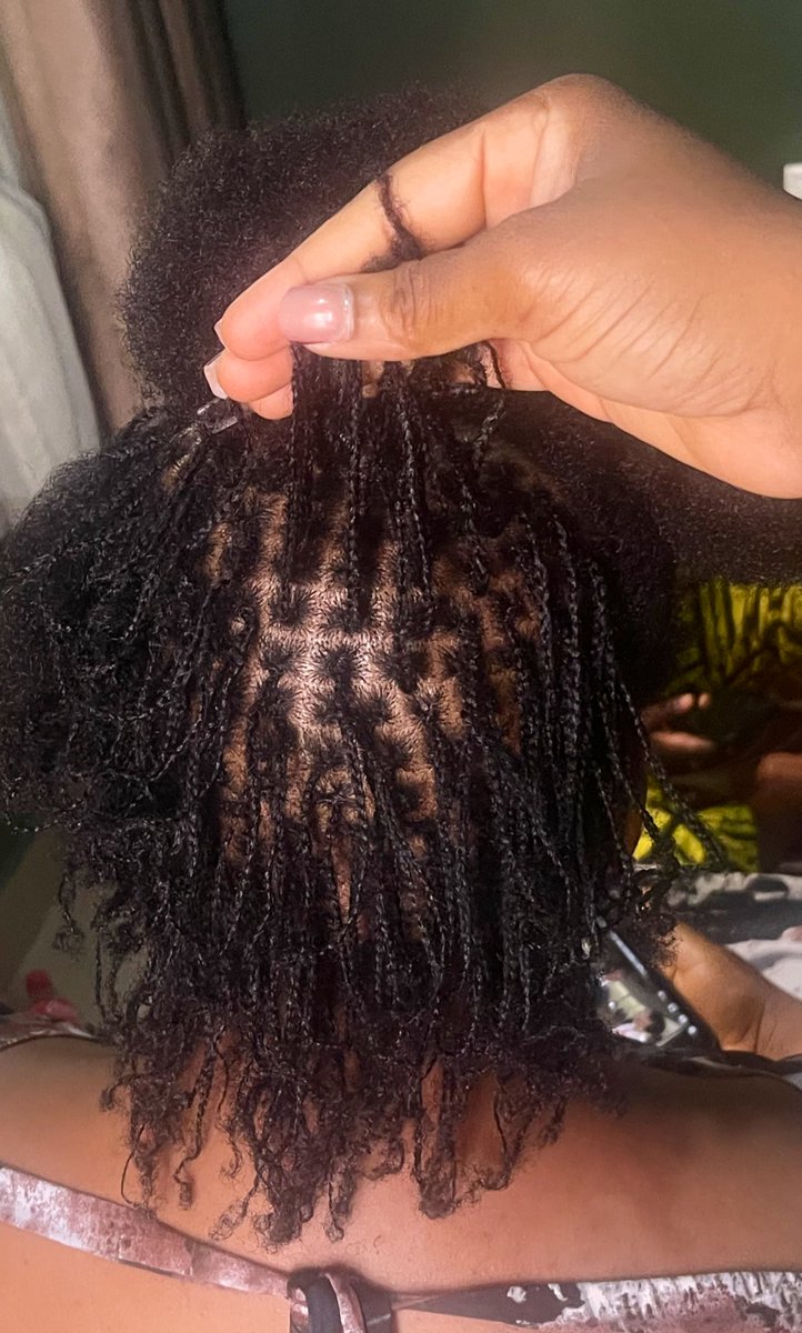 Ifeoluwa Ajibola tweet media