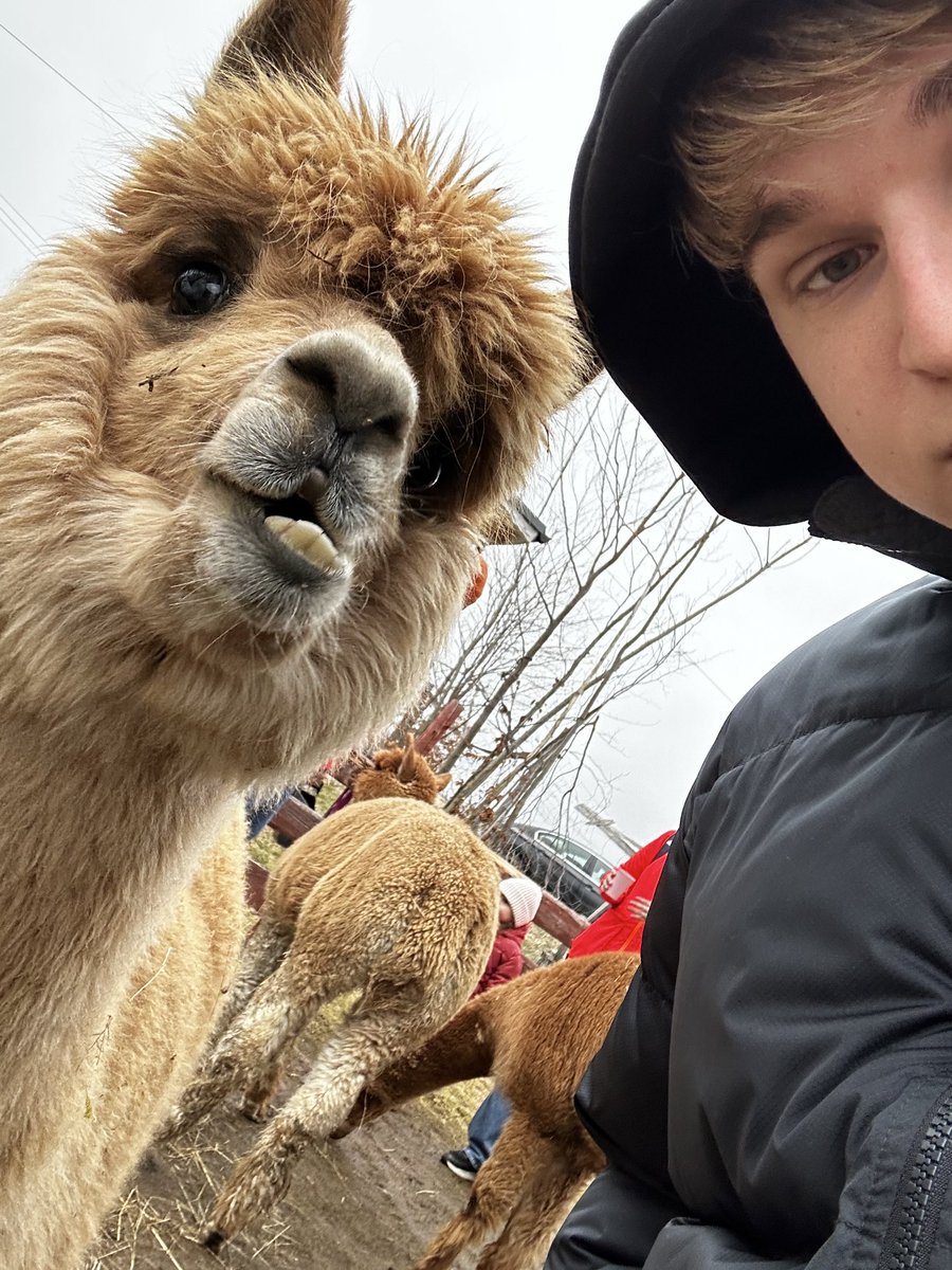 Gm ⚽️⚽️⚽️