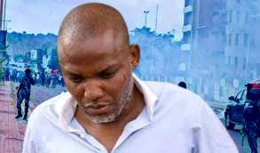 EmekaGift100's tweet photo. Mazi Nnamdi Kanu's case is getting interesting and I love it , this is what is called Ambush. Nigeria will be on trial . 100% Supported ...No time for weakness.. Show us that lion part of you!......Trust me, grow that dangerous nails and they will have no option . You are the lion .....The support will be massive ......They Cant harm you............They are few we bee........ #FreeNnamdiKanuNow