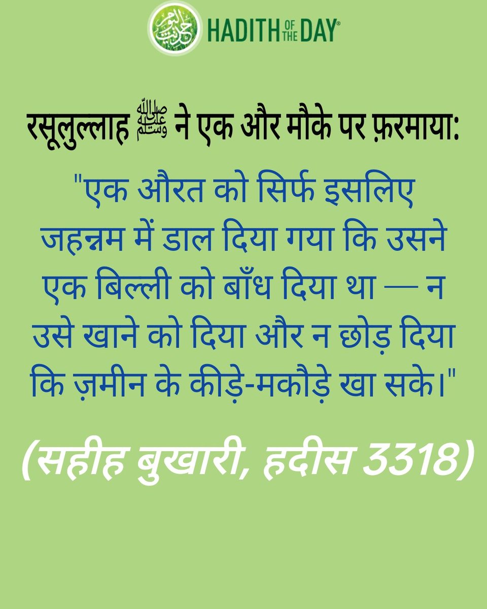 #QuranQuotes #QuranVerse #Quran #Islam #Ayat #IslamicReminder #Hadith #hadith_of_the_day #ProphetMuhammad_ﷺ #SahihHadith #HadithShare #IslamicQuotes