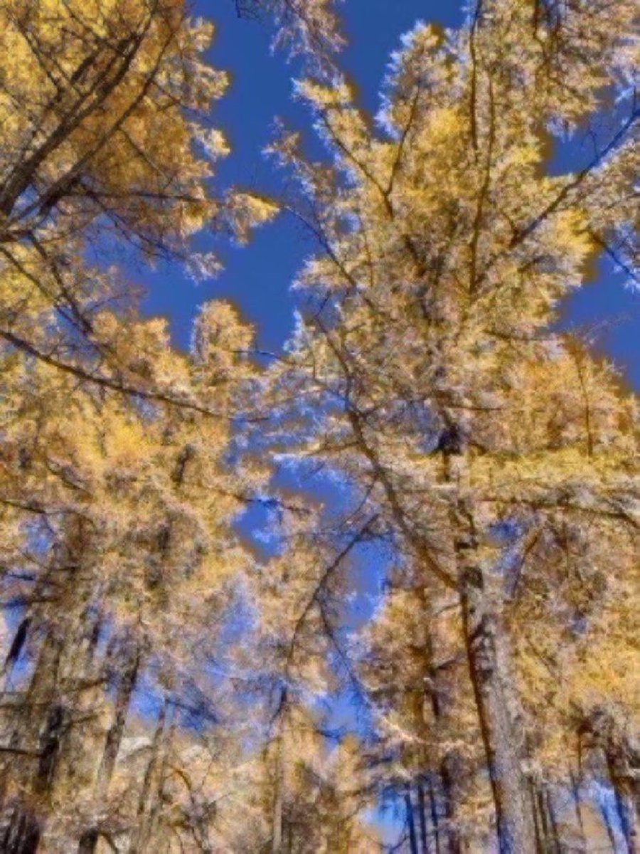 Өдрийн мэнд ээ