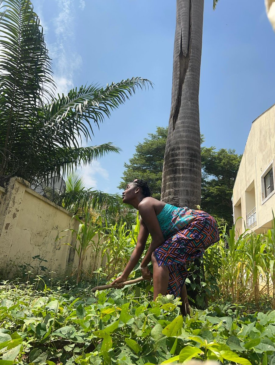 All my life I’ve always wanted a farm.. where I used to live before, was an upstairs and being up there always made me feel isolated and locked up from nature.. but now I’m blessed with this little cottage, with a space where I can plant things.. so far I’ve planted yam, ginger,