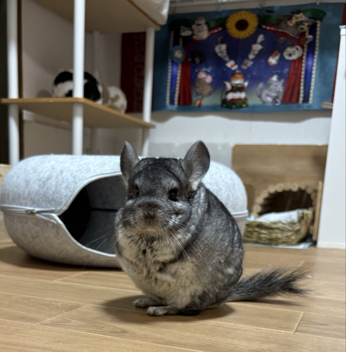 風太 NINJA ZX-4R SE('23～)・ZX-4RR KRT EDITION('23