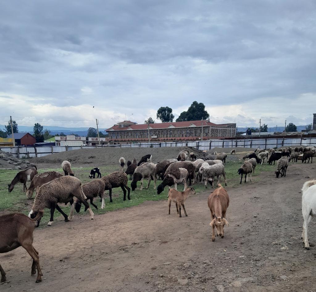 Good afternoon from this side.