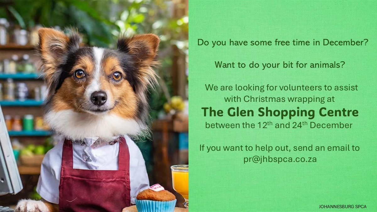 Can you believe its nearly that time of year again! If you’re feeling festive and want to make a difference, volunteer at our Christmas wrapping station 
Your time helps raise much-needed funds for #JSPCA supporting animals in need.
Sign up today and wrap with purpose!