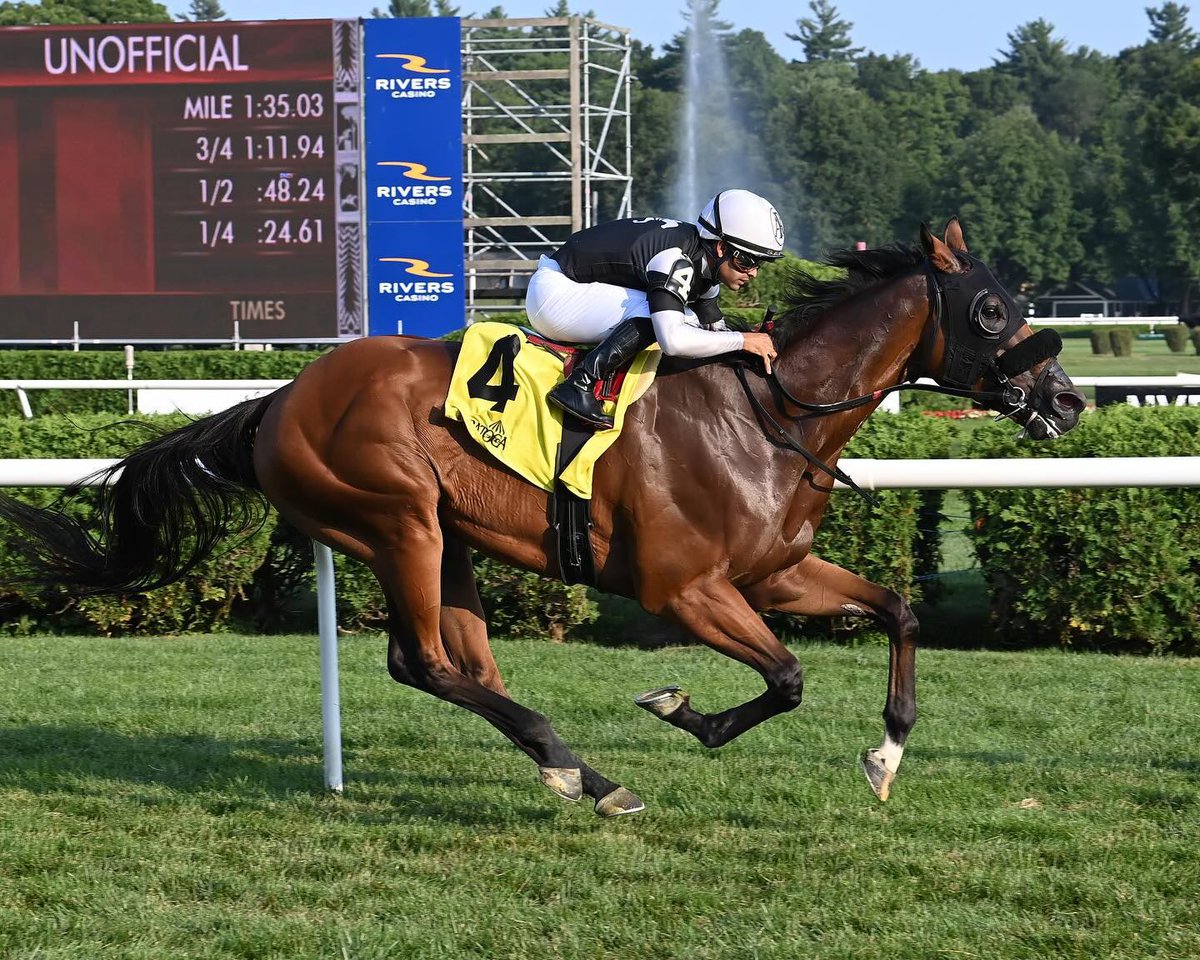 AdelphiClub's tweet image. After going 2 for 2 last week, we’ll look to keep things rolling with Gem Mint Ten today at The Big A (race #7) 💎
@jockeylriverajr rides for trainer @FalconeJr