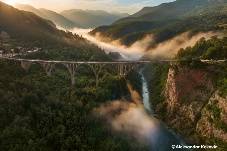 Travel Quotidiano tweet media