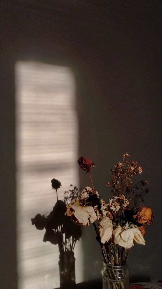 پھولوں کا مرجھانا ان کی بدصورتی کی نشانی نہیں ہوتی۔ یہ دراصل اس بات کا اشارہ ہے کہ ان کے ارد گرد موجود لوگ یا حالات ان کی مناسب دیکھ بھال نہیں کر رہے۔
(اور یہ بات صرف پھولوں تک محدود نہیں ہے۔ )
#روشنی