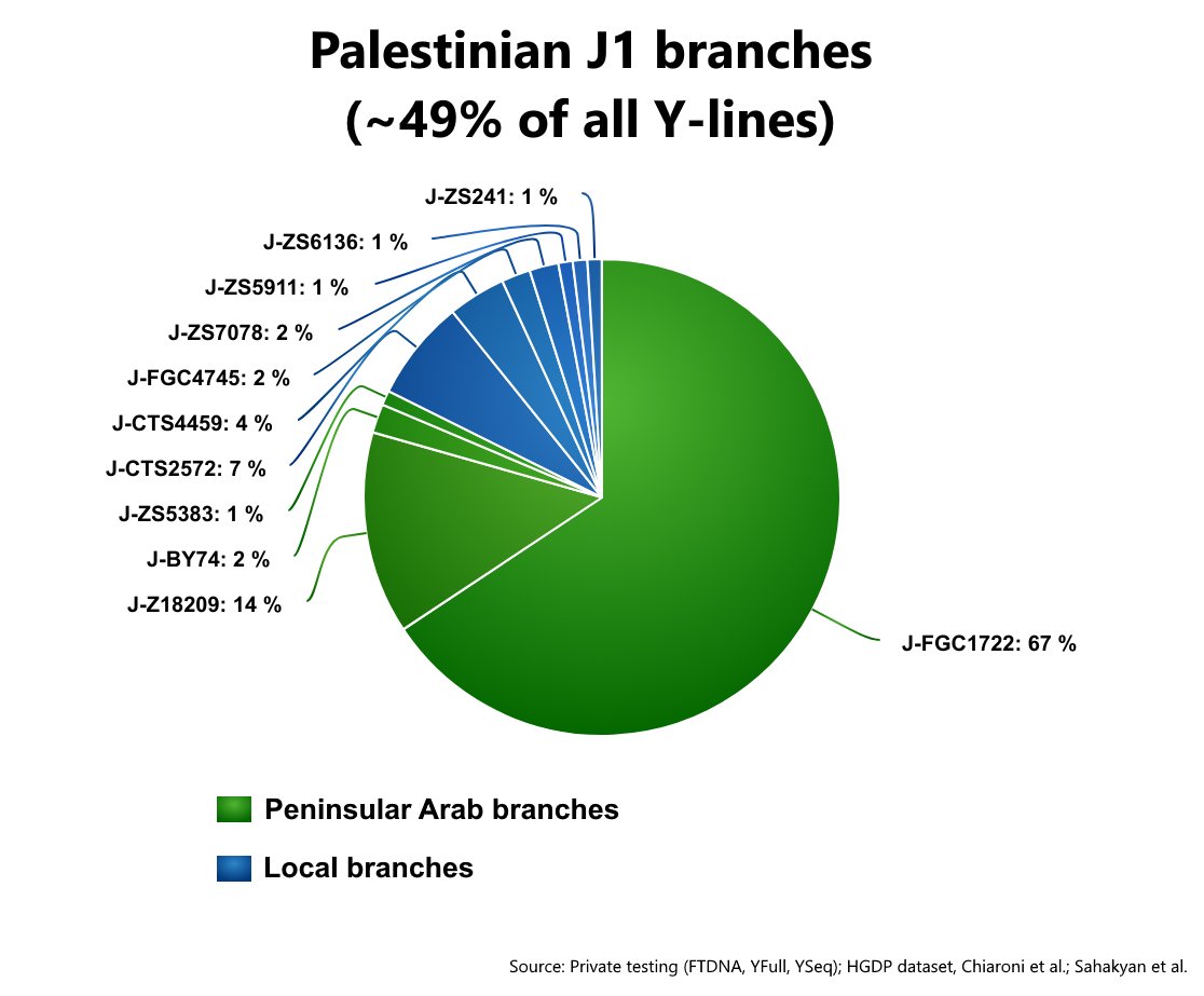 AdinHaykin1's tweet image. 85% of Ashkenazi Jewish DNA is Levantine.
82% of Palestinian DNA is Arabian.

(credit @Agamemnonuwa)