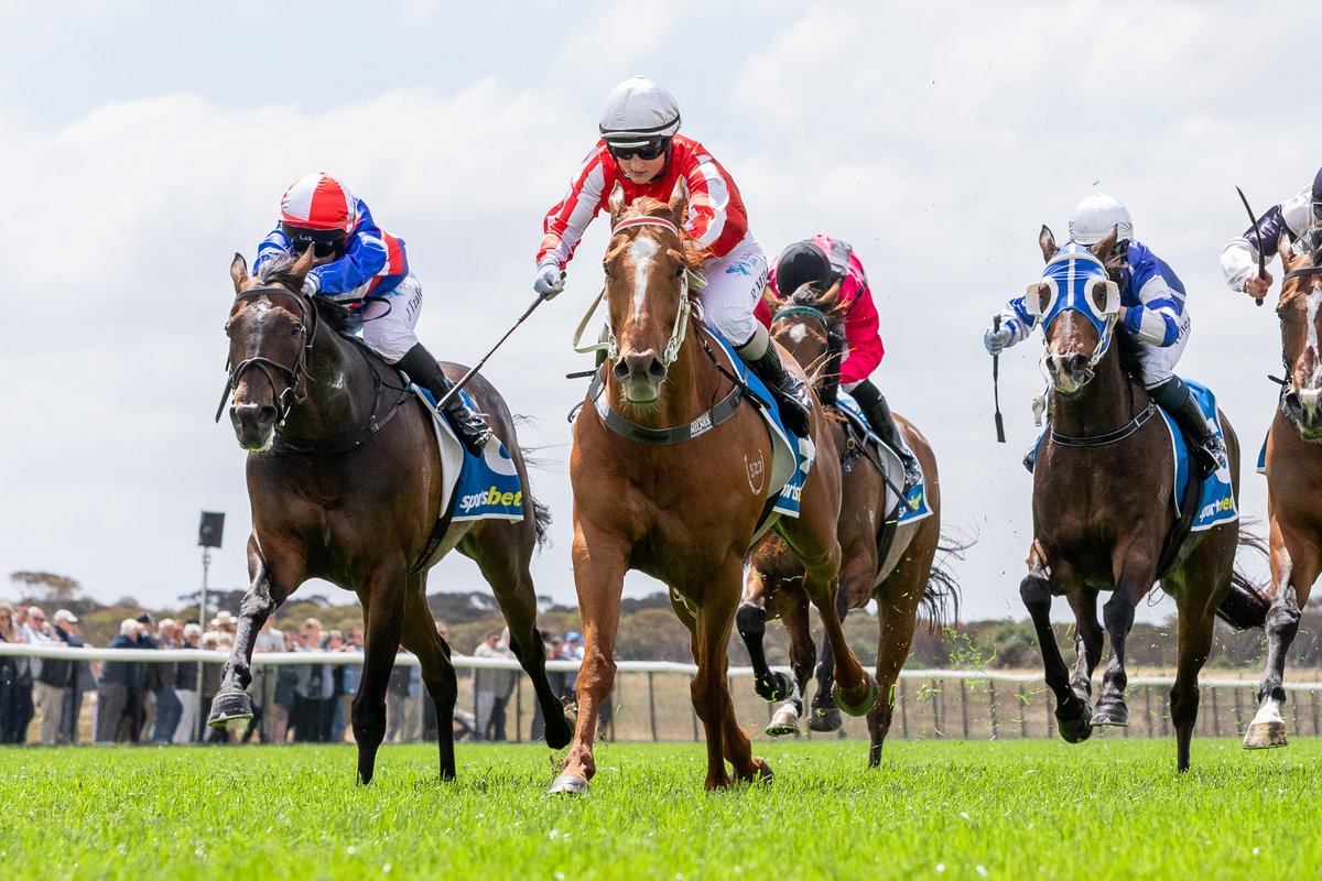 tylermaund's tweet photo. Chicago Storm's first-up win had trainer David Aldridge elated on Murray Bridge Cup day, and the pair are hunting a second Gawler Cup win this Friday 👇
@Gawlerjockey

Story: https://t.co/V6KFHPHkWi https://t.co/Y539f051J7