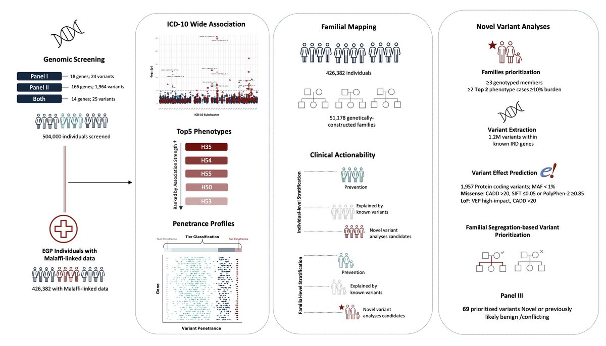 European ancestry predominance used to be a bottleneck in population genetics. More initiatives focus on other ancestries now.

The Emirati Genome Program includes 
👉whole genome sequencing in N=504,000 
👉longitudinal EHRs for 426,382 of them
👉reconstructed pedigrees