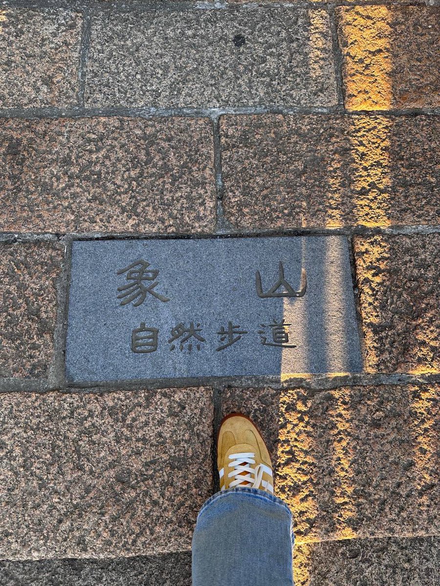 夢を追いかけるあなたは、誰よりも強い🌈   困難があっても、涙があっても、それでも前を向くあなたは本当に素敵。夢はきっと、あなたの努力を裏切らない。