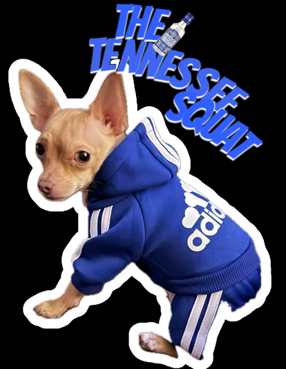 Tennessee_Jade's tweet photo. 🐶#dogslife #cutedog  #dogs #puppy #doglover  #doglovers #pet #love #puppylove #cute  #pets #puppies  #doggo #happydog #petlovers #dogmom  #lovedogs https://t.co/g2YS4waarU