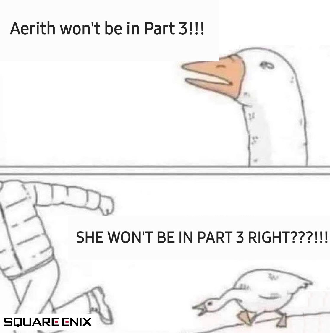 #Aerith haters be like: