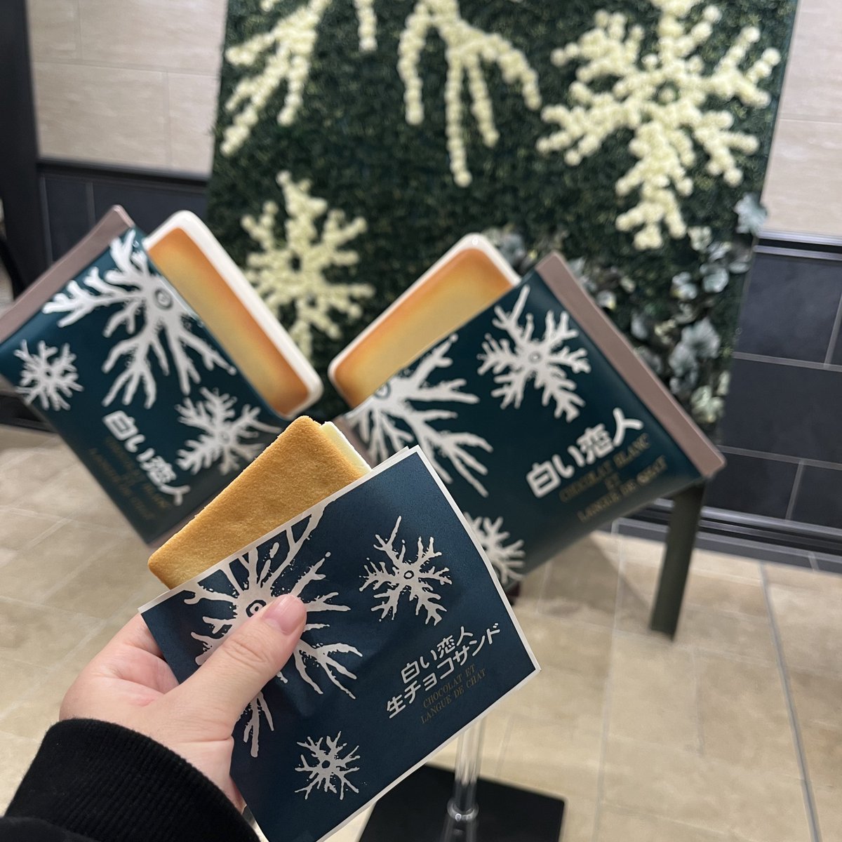 白湯 (@____hoshikuzu_) / Posts / X