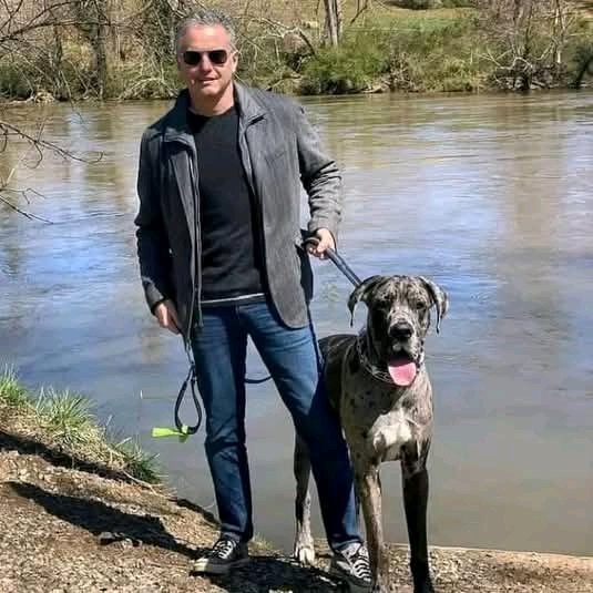 davidwilson1889's tweet image. 