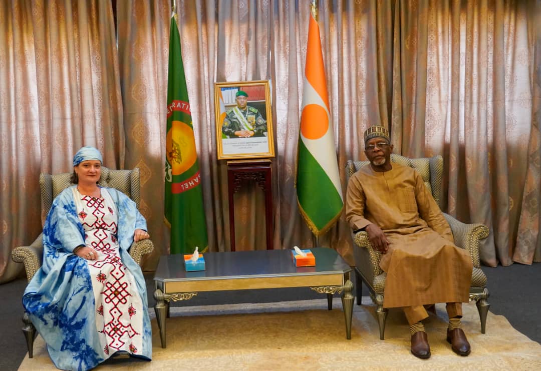 OIM Niger tweet media