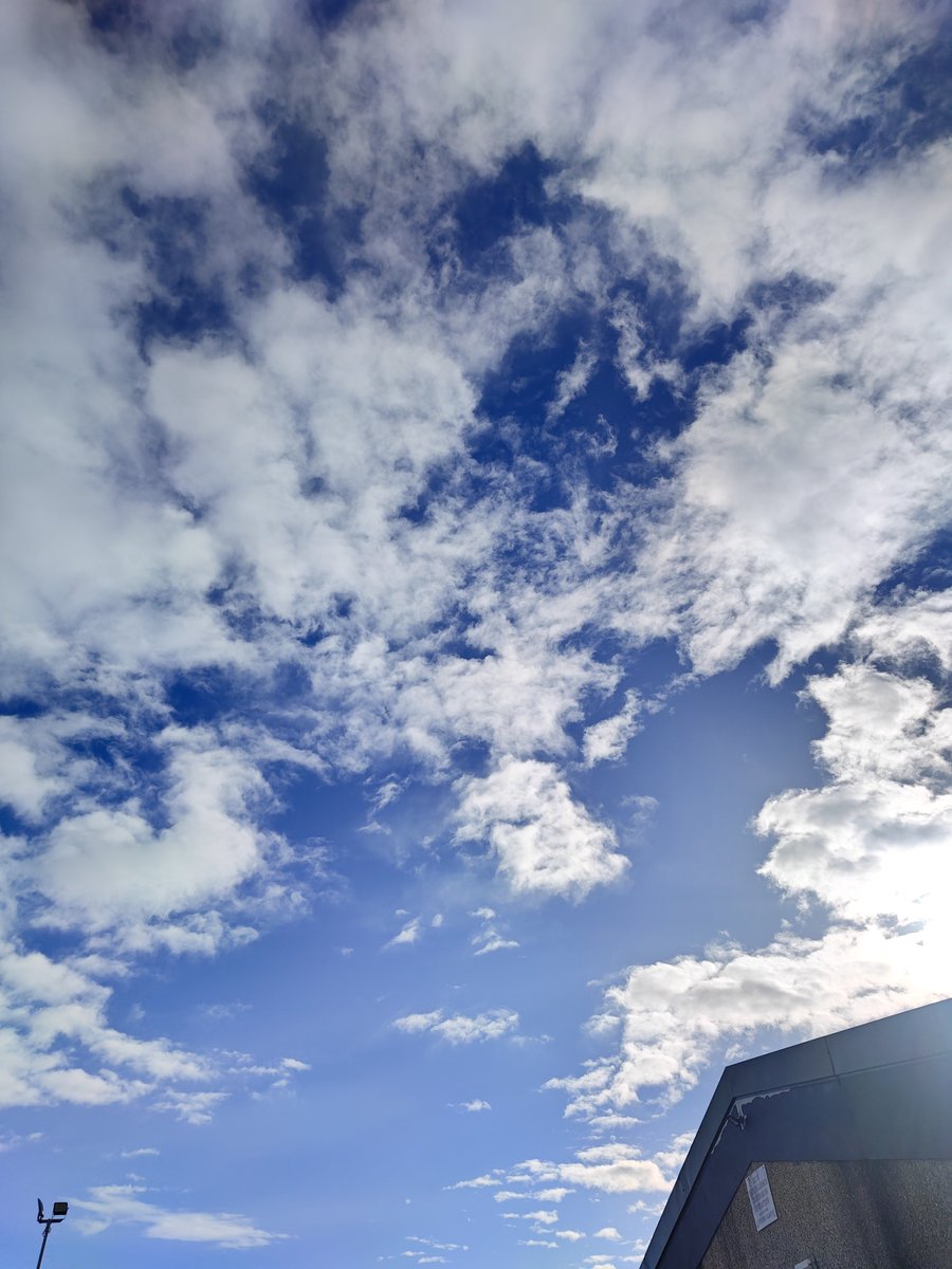 Jebruisary's tweet photo. Fingers crossed for this beautiful weather for the weekend #the110farm @Syndicate  @SyndicateOG 🤙🏻🤙🏻 https://t.co/W7140kJGqz
