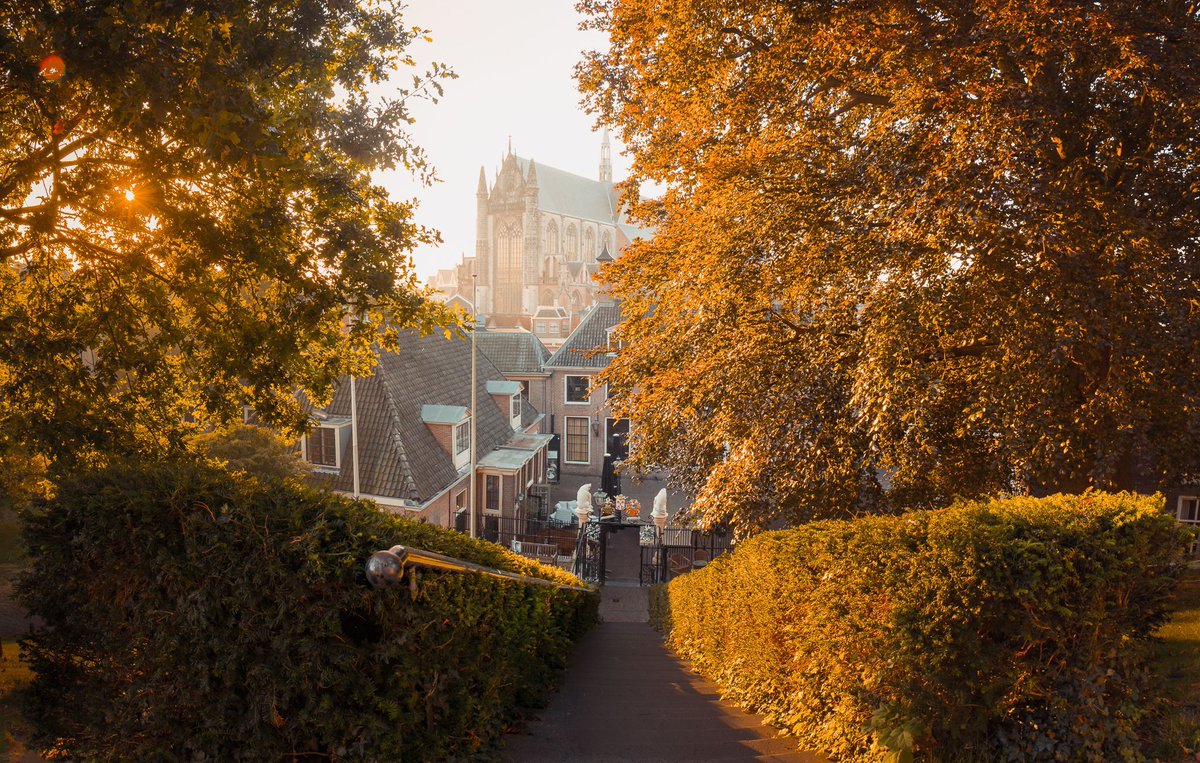 A view from the medieval stronghold the Burcht in the City of Leiden. #Autumn is slowly coming and the golden morning sunlight is lighting up the trees surrounding the grounds.

(c)2016-today martijnvandernat all rights reserved