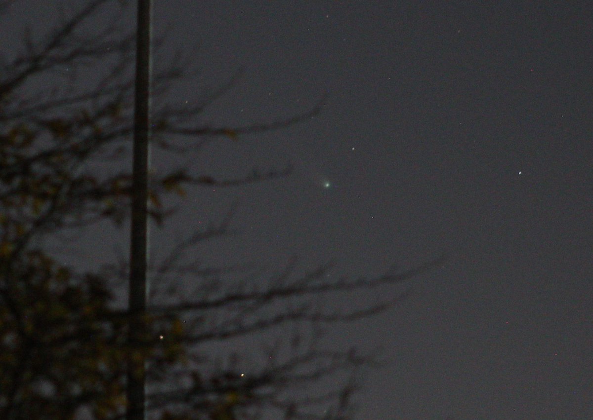 Comet A6 Lemmon from this morning. 0525 22 October 2025. #StormHour #ThePhotoHour