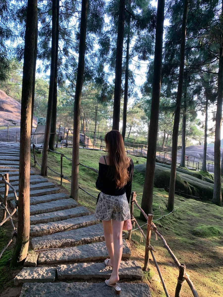 AxlvvWare's tweet image. 木漏れ日の中、静かな森の小道をそっと歩く。
心がふっと軽くなるような、癒しのひととき🌲🍃