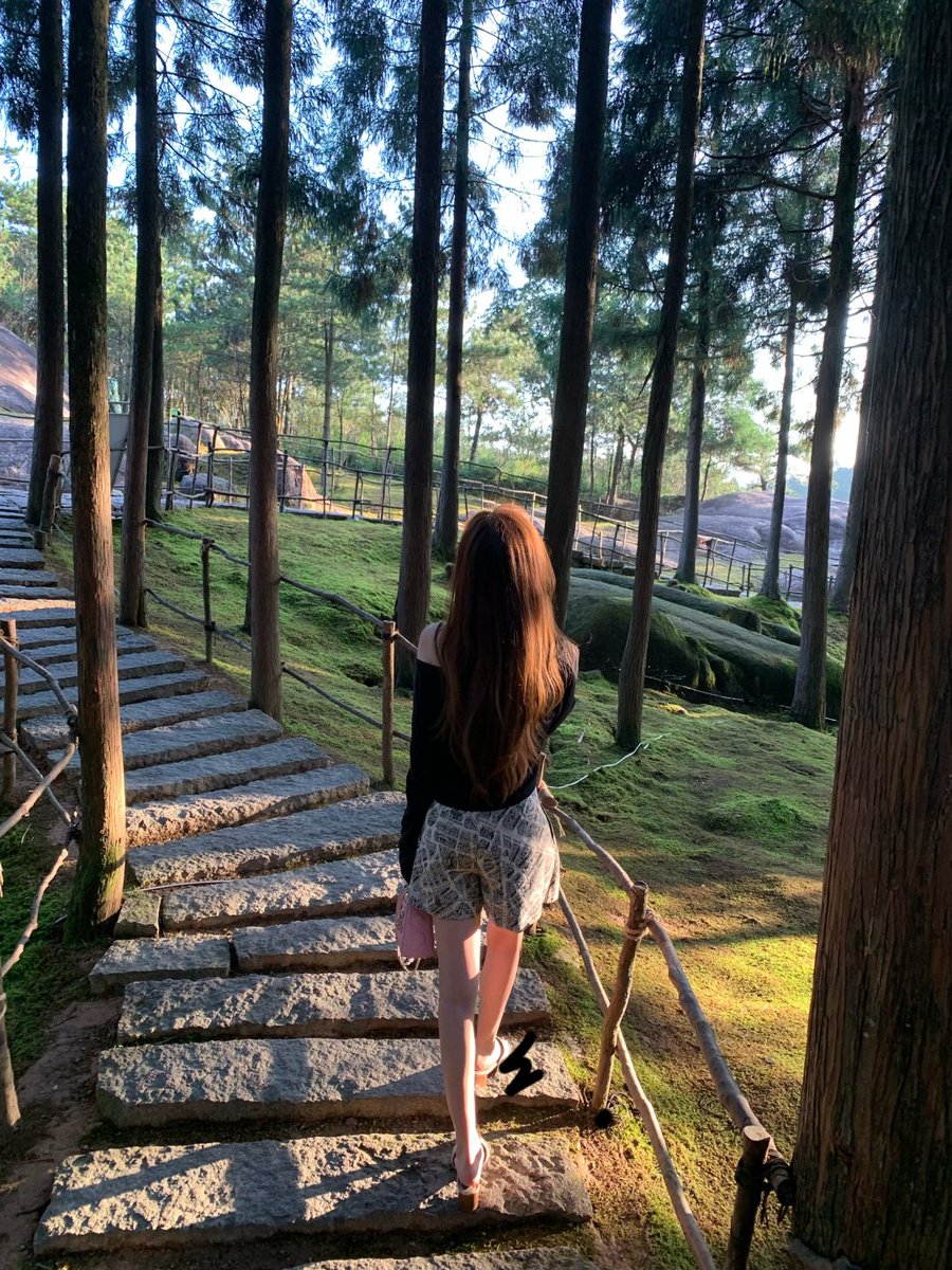 AxlvvWare's tweet image. 木漏れ日の中、静かな森の小道をそっと歩く。
心がふっと軽くなるような、癒しのひととき🌲🍃