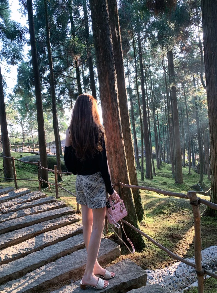 AxlvvWare's tweet image. 木漏れ日の中、静かな森の小道をそっと歩く。
心がふっと軽くなるような、癒しのひととき🌲🍃