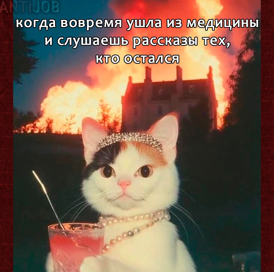 #мем #antijob